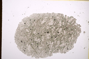 Plane Polarized, E13026