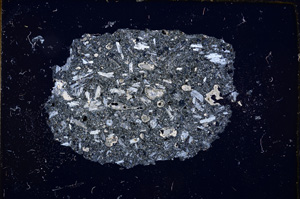 Cross Polarized, E13034