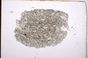 Plane Polarized, E13034