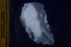 Cross Polarized, E13037