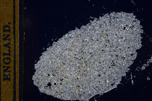 Cross Polarized, E13048