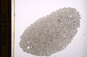 Plane Polarized, E13048