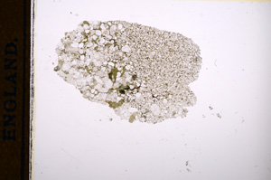 Plane Polarized, E13049