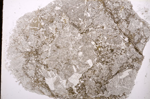 Plane Polarized, E13058