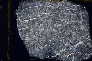 Cross Polarized, E13059