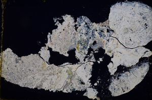 Cross Polarized, E13060