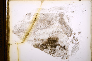 Plane Polarized, E13061