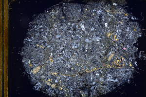 Cross Polarized, E13062