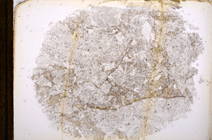 Plane Polarized, E13062