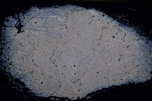 Cross Polarized, E13063