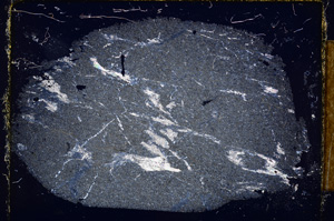 Cross Polarized, E13064