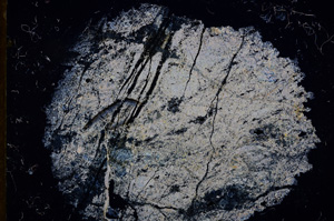 Cross Polarized, E13066