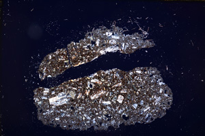 Cross Polarized, E13132