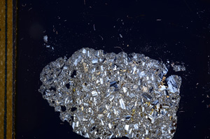 Cross Polarized, E13134