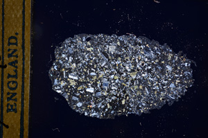 Cross Polarized, E13135