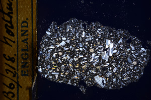 Cross Polarized, E13137