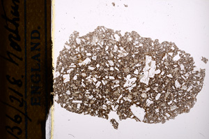 Plane Polarized, E13137