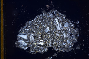 Cross Polarized, E13138