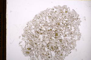 Plane Polarized, E13139