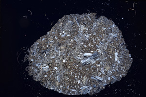 Cross Polarized, E13141