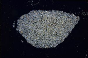 Cross Polarized, E13142