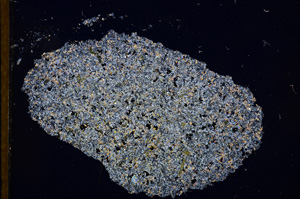 Cross Polarized, E13143