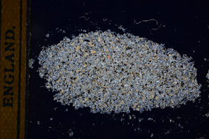 Cross Polarized, E13144