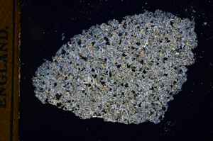 Cross Polarized, E13145