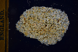 Cross Polarized, E13146