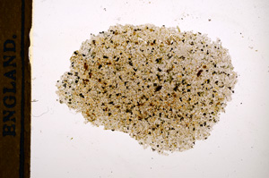 Plane Polarized, E13146