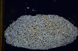 Cross Polarized, E13149