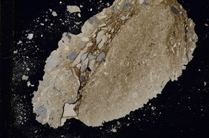 Cross Polarized, E13157