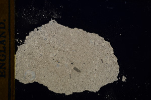 Cross Polarized, E13159