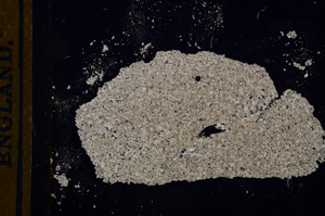 Cross Polarized, E13160