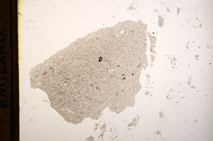 Plane Polarized, E13162