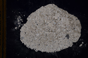 Cross Polarized, E13176