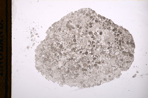 Plane Polarized, E13176