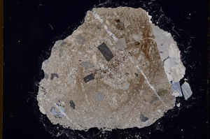 Cross Polarized, E13177