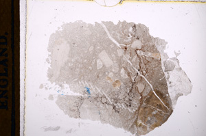 Plane Polarized, E13177/A