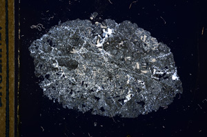 Cross Polarized, E13206