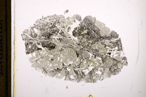 Plane Polarized, E13206