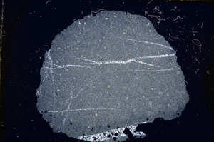 Cross Polarized, E13208