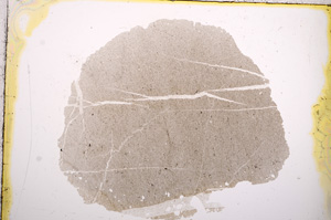 Plane Polarized, E13208