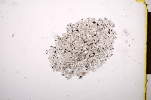 Plane Polarized, E13209