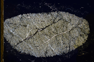 Cross Polarized, E13210