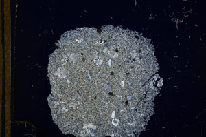 Cross Polarized, E13211