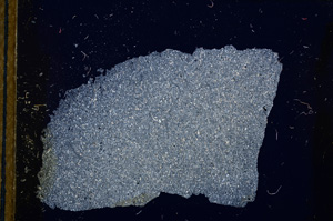 Cross Polarized, E13212