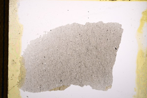 Plane Polarized, E13212