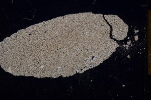 Cross Polarized, E13216