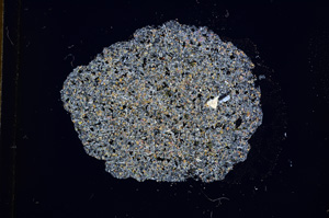 Cross Polarized, E13217